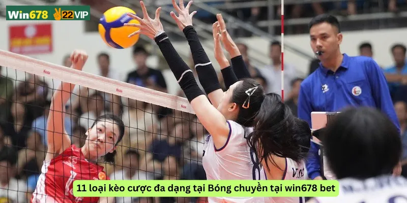 11 loại kèo cược đa dạng tại Bóng chuyền tại win678 bet