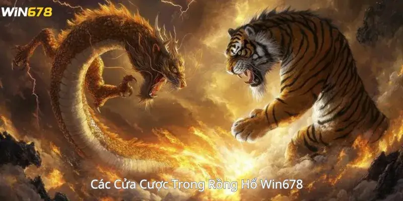 Các Cửa Cược Trong Rồng Hổ Win678 