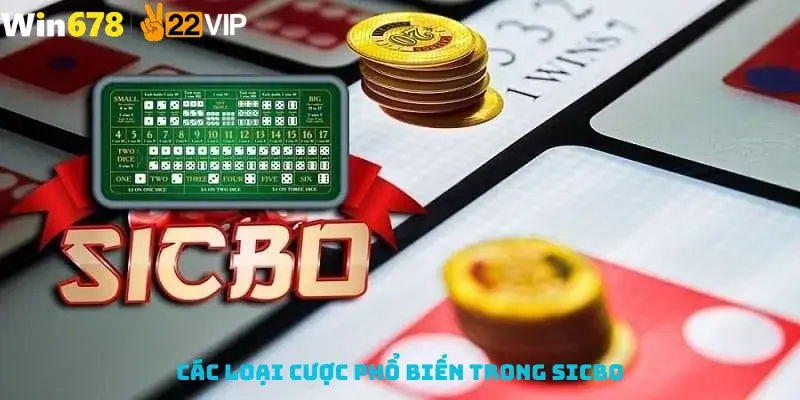 Các Loại Cược Phổ Biến Trong Sicbo