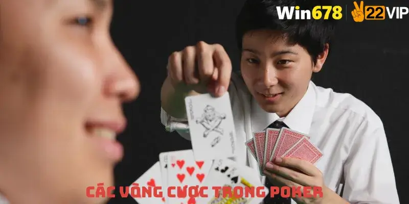 Các Vòng Cược Trong Poker