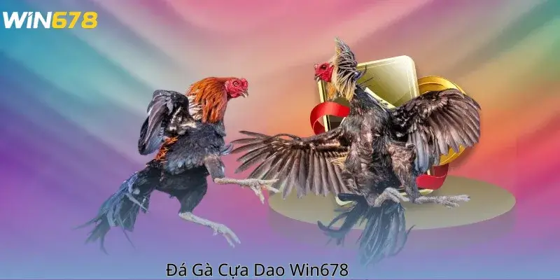 Đá Gà Cựa Dao Win678