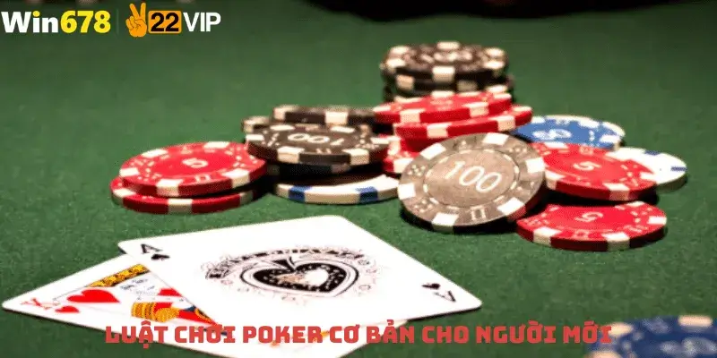 Luật Chơi Poker Cơ Bản Cho Người Mới
