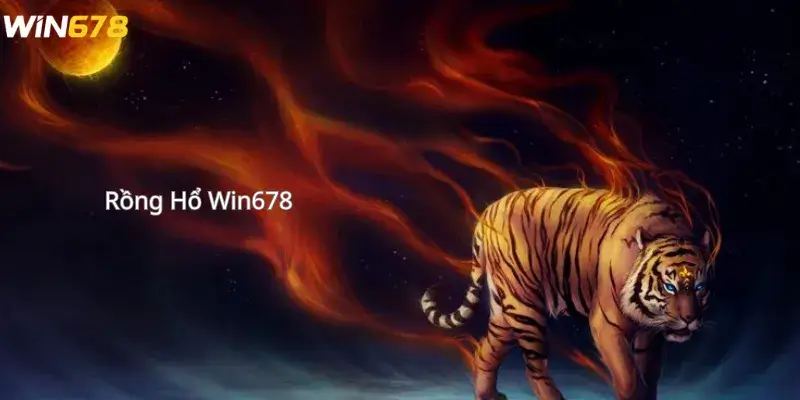 Rồng Hổ Win678