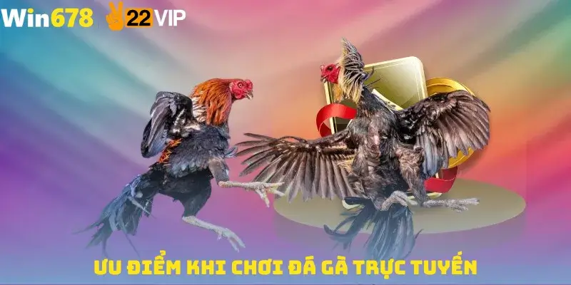 Ưu Điểm Khi Chơi Đá Gà Trực Tuyến