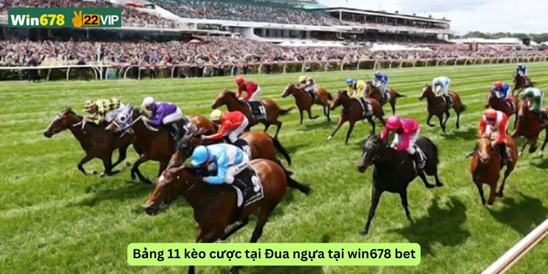 Bảng 11 kèo cược tại Đua ngựa tại win678 bet