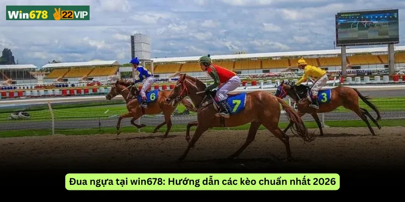 Đua ngựa tại win678: Hướng dẫn các kèo chuẩn nhất 2026